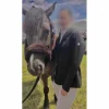 - Marque inconnue - Vestes De Concours>veste de concours equitheme