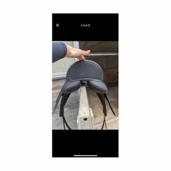 hart 500 dressage 17p*Wintec Discount