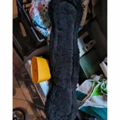 creole*Zaldi